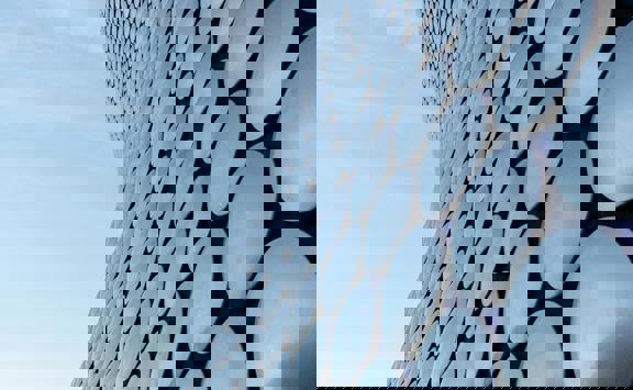 Pexels Olgalioncat 7245555