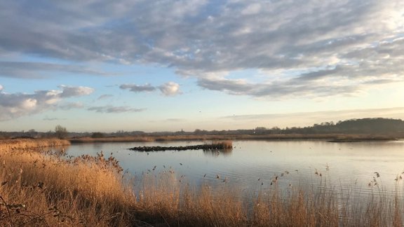 Rspb Middleton Lakes