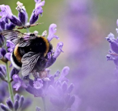 E768d388826b936af68c1d6c742e6f2245ac141a