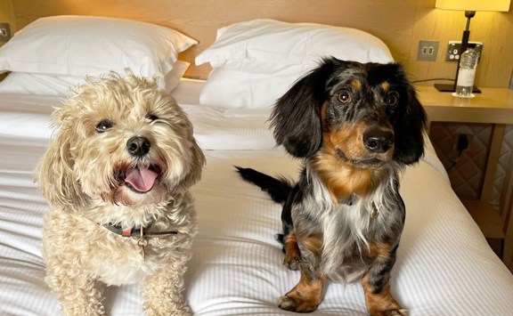 0F6349f70f800ea62fc1094b07f0566fcfafe183