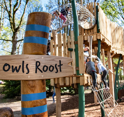 Capco X Belfry Web Size 036