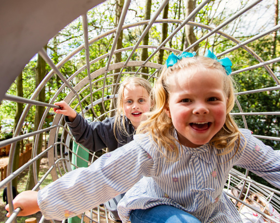 Capco X Belfry Web Size 133