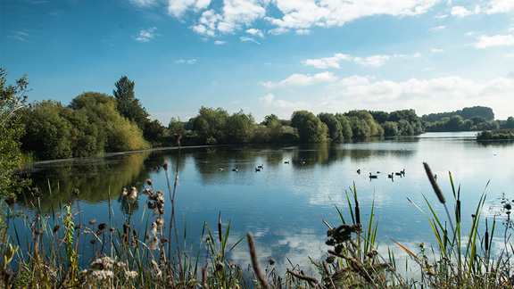 Kingsbury Water Park 1 915Px
