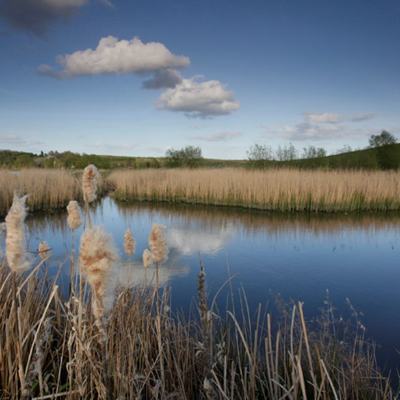RSPB Lakes