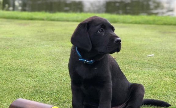 Screenshot 2023 04 25 120250