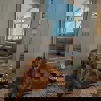 IG @Ranger Goldenretriver (2)